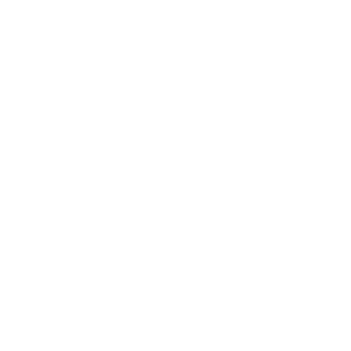 1741236851 web programming